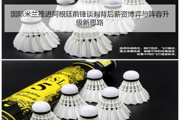 国际米兰推进阿根廷前锋谈判背后薪资博弈与阵容升级新思路